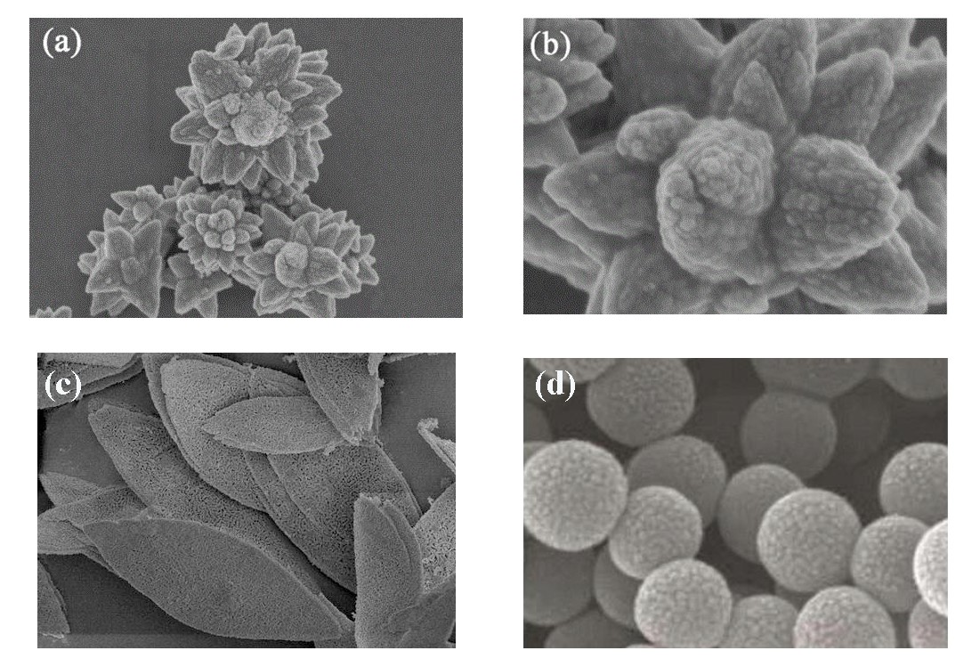 Different microscopic morphologies of nanopowder compounds.